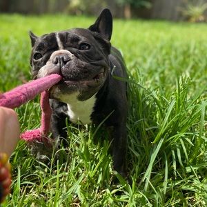 Meet your Posher, Erika